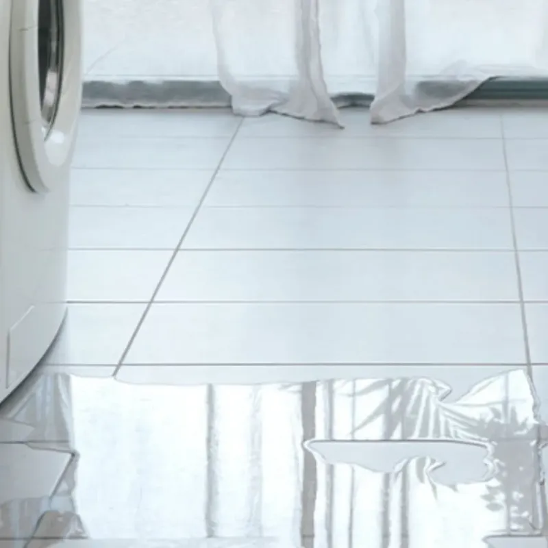 Appliance Leak Cleanup in Lee County, VA