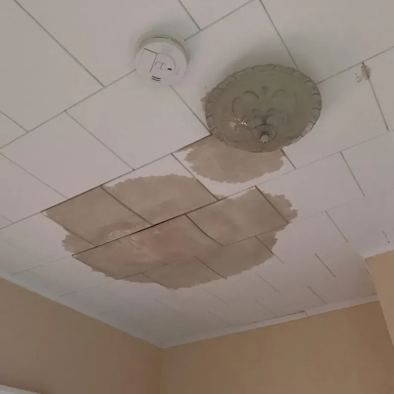 Ceiling Water Damage Repair in Lee County, VA