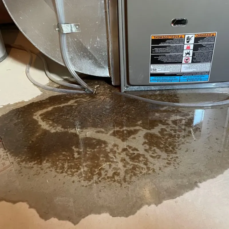 Pipe Burst and Leak Restoration in Lee County, VA