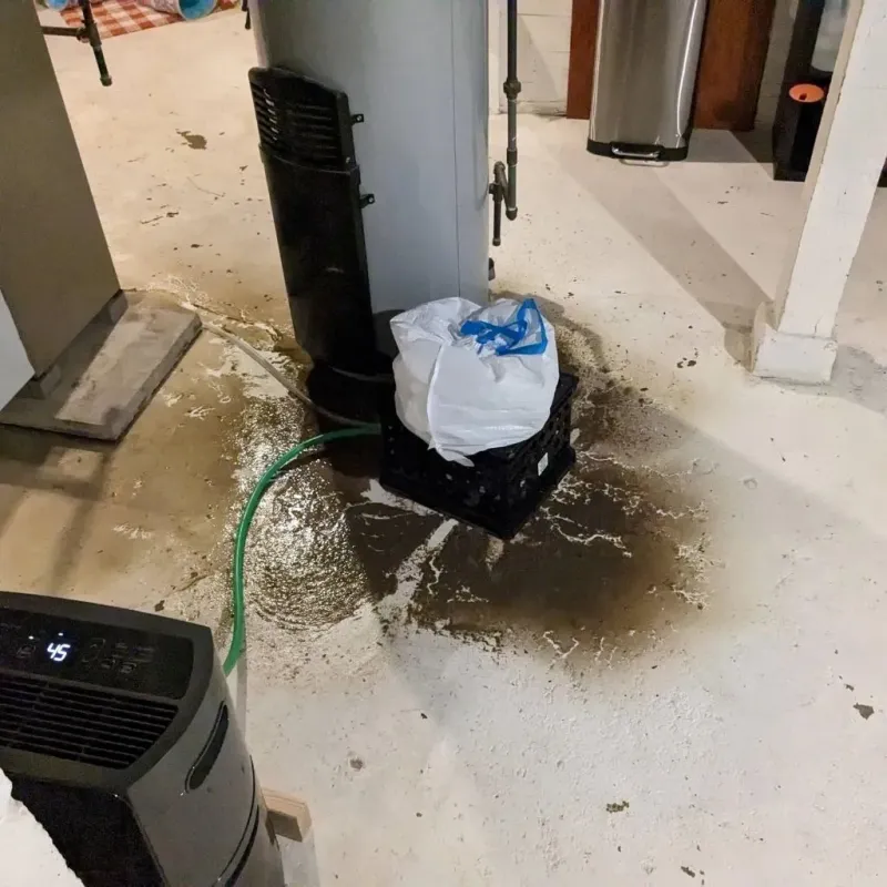 Sewage Backup Cleanup Service in Lee County, VA